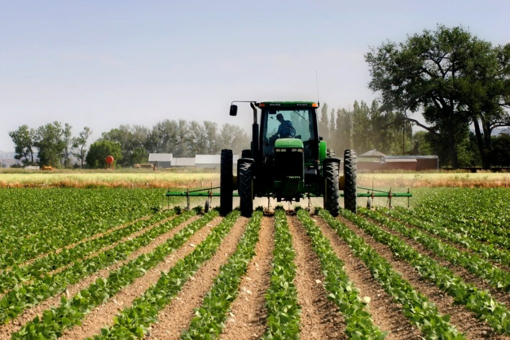 MBPZhR hap thirrjet për aplikim për grante në bujqësi